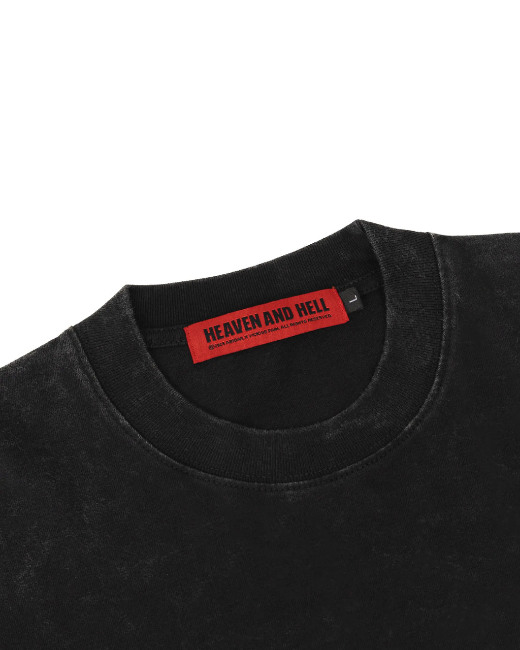 ABIGAIL X VICIOUS PAIN - ASCENSION Oversized Longsleeve T-Shirt