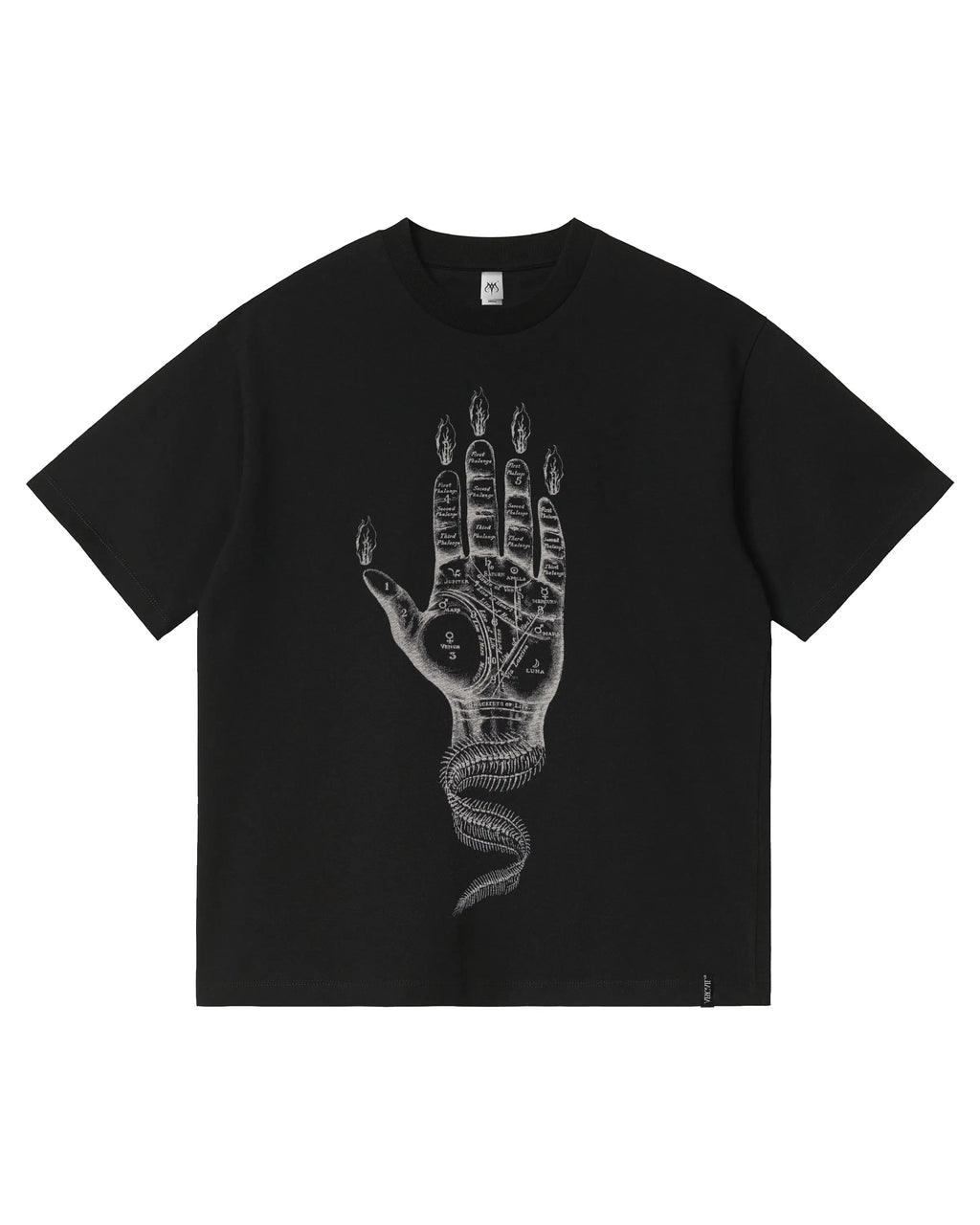 DEX - Shortsleeve T-Shirt