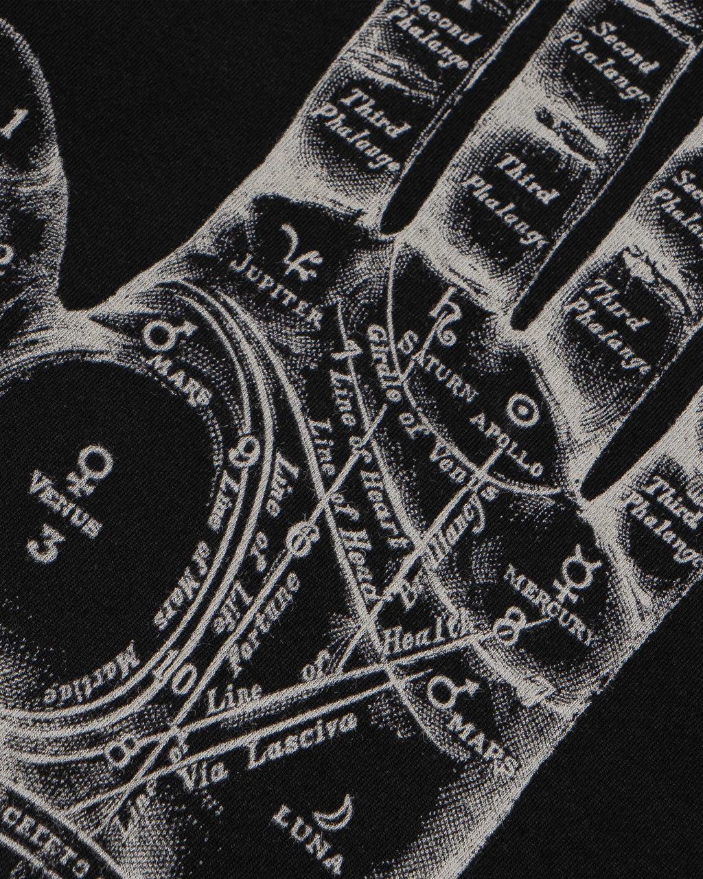 DEX - Shortsleeve T-Shirt