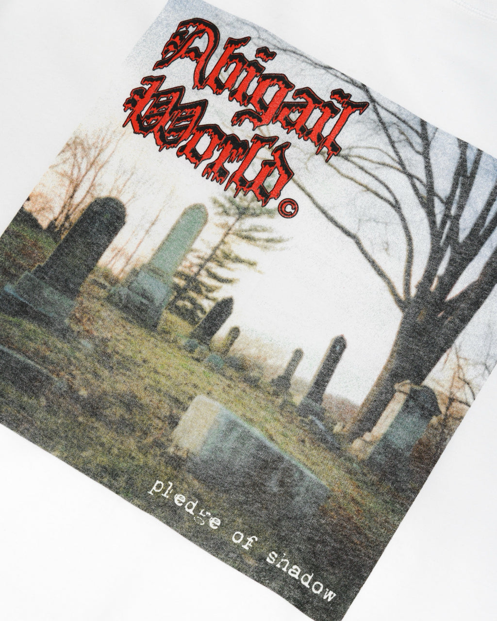 GRAVE LS - Oversized Longsleeve T-Shirt