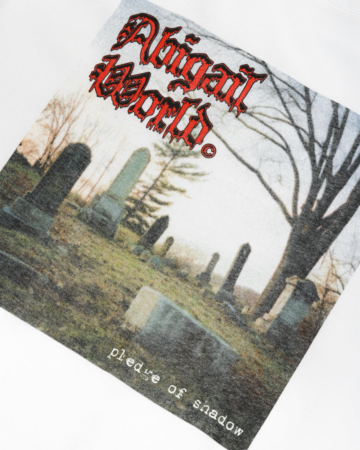 GRAVE LS - Oversized Longsleeve T-Shirt