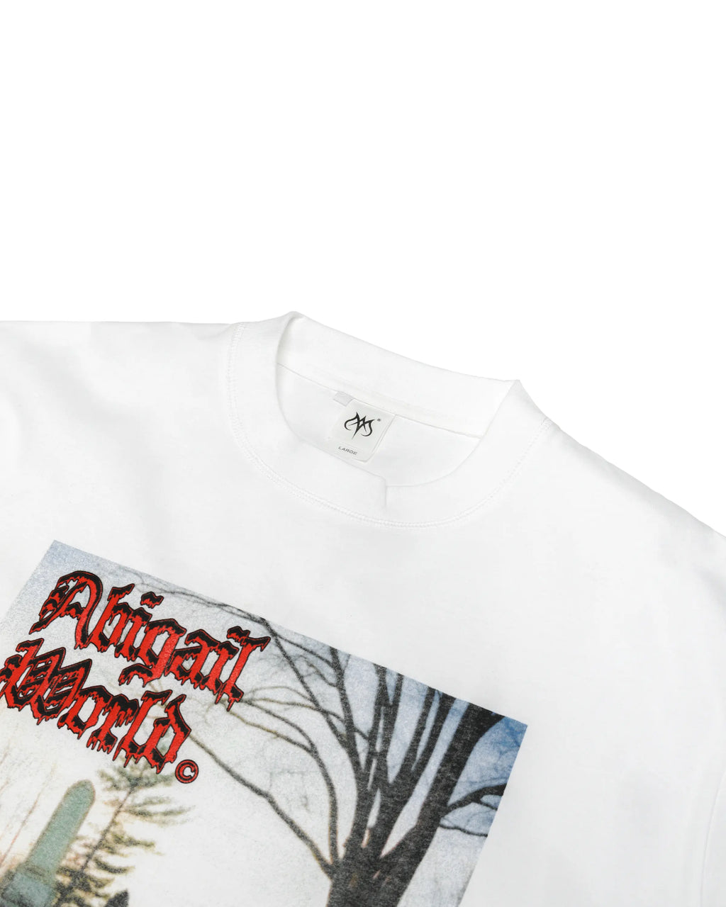 GRAVE LS - Oversized Longsleeve T-Shirt
